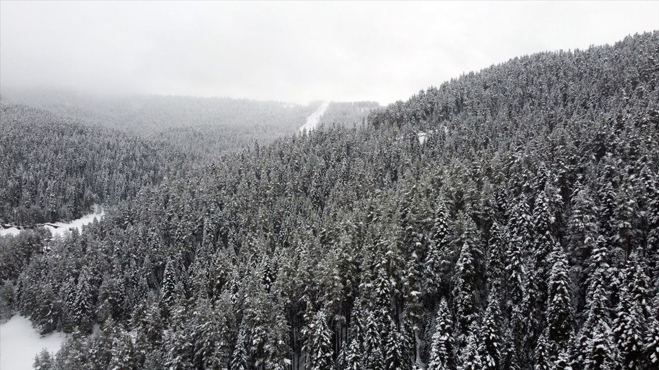 Ilgaz Dağı'ndaki Karlı Manzara Dronla Görüntülendi