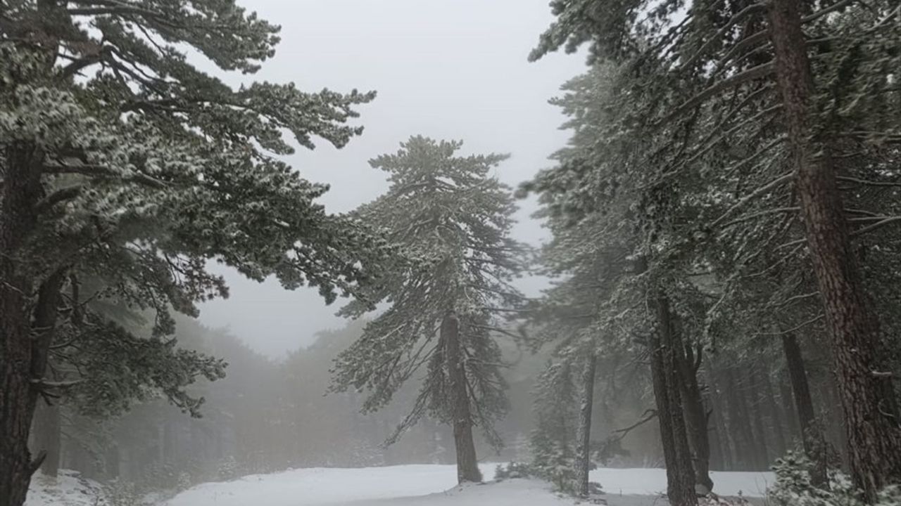 Kazdağı Milli Parkı Kış Beyazına Büründü