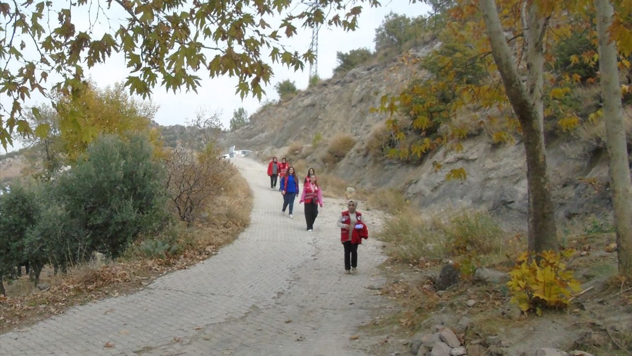 Kızılay Gönüllüleri Yaşlı Kadın İçin Zeytin Hasadı Yaptı