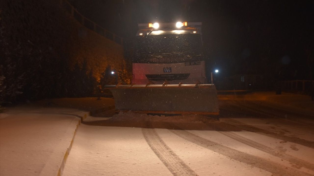 Ordu ve Gümüşhane'de Kar Yağışı Etkili Oldu