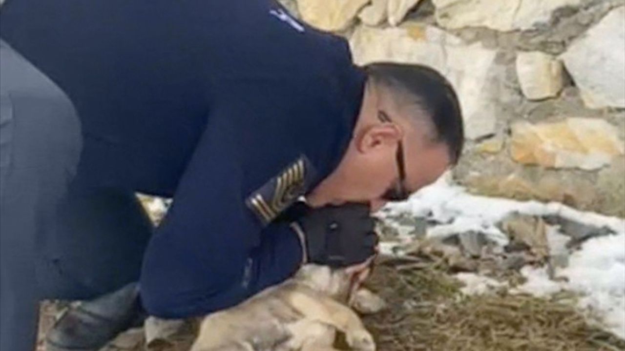 Yozgat'ta Jandarma Komutanından Hayvanseverlik Örneği
