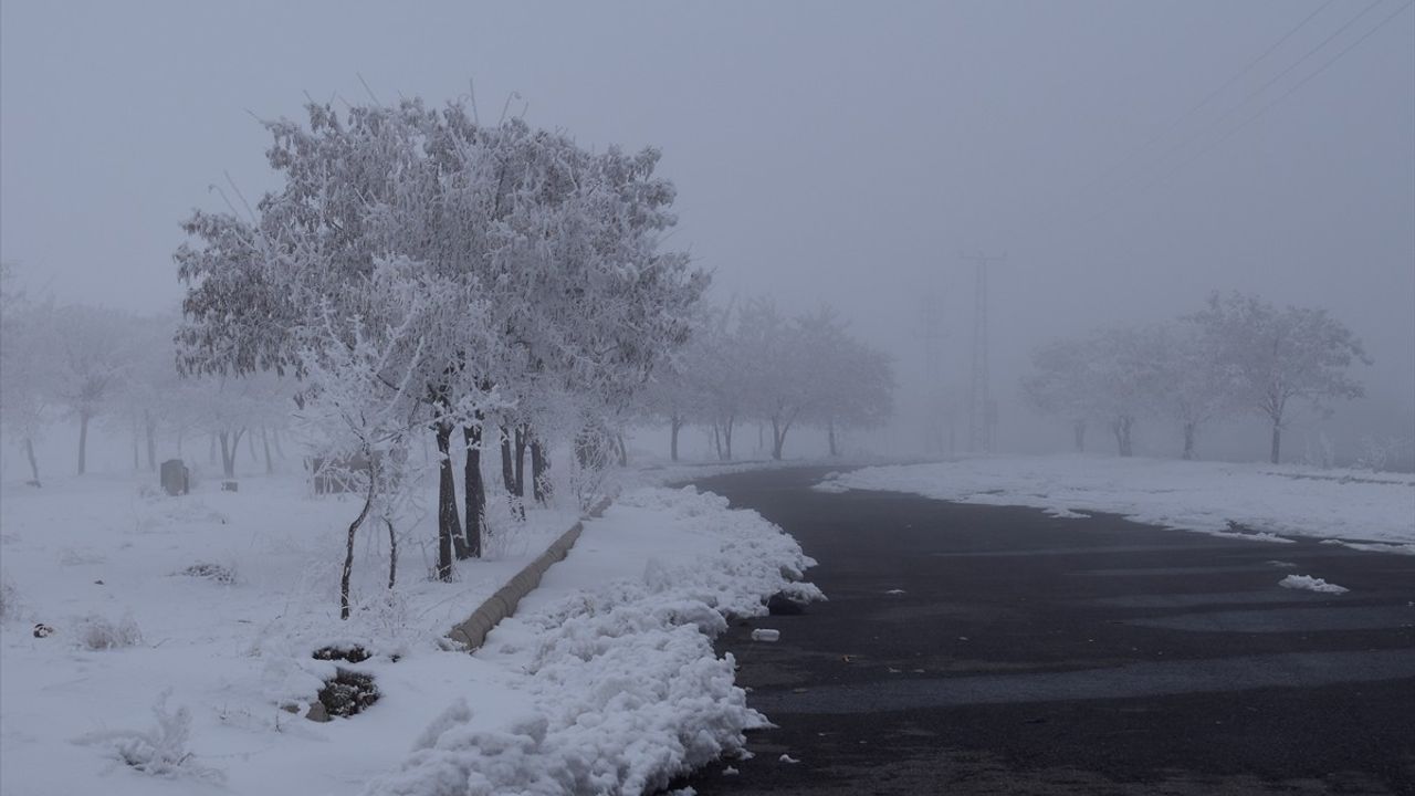 Bitlis'te Soğuk Hava ve Sis Etkili