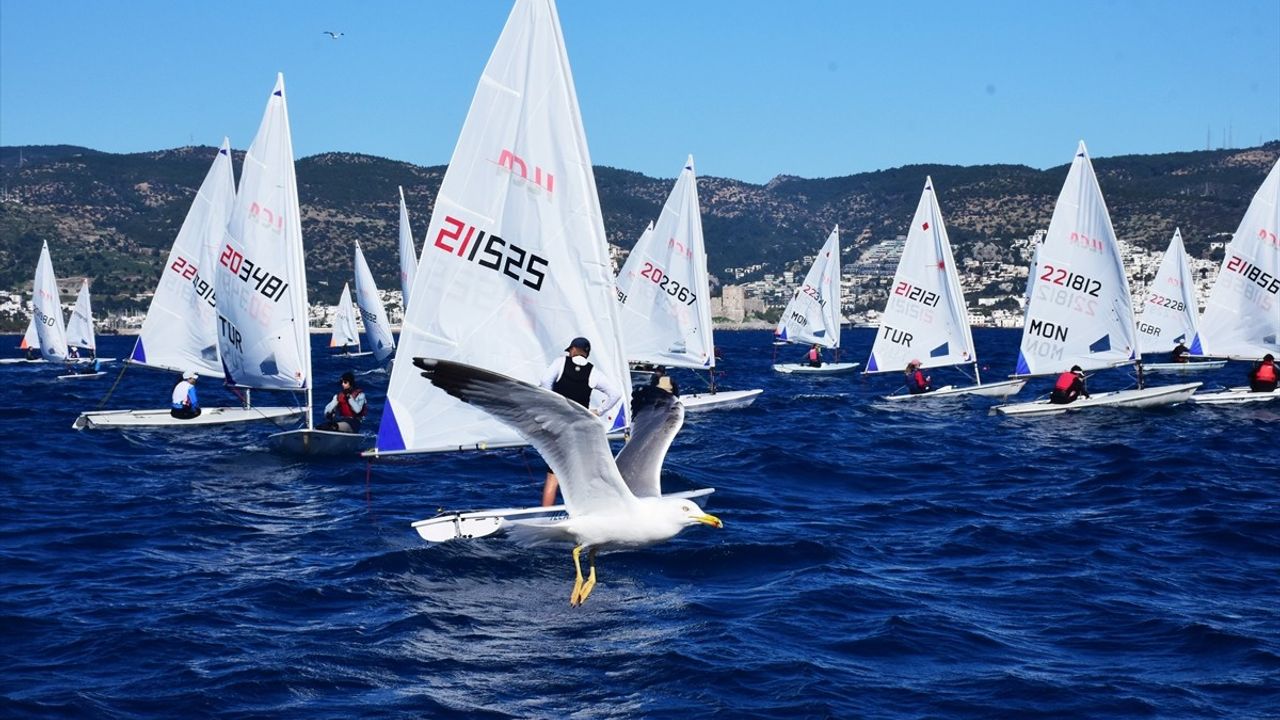 Bodrum'da Avrupa Kupası Yelken Yarışları Heyecanı