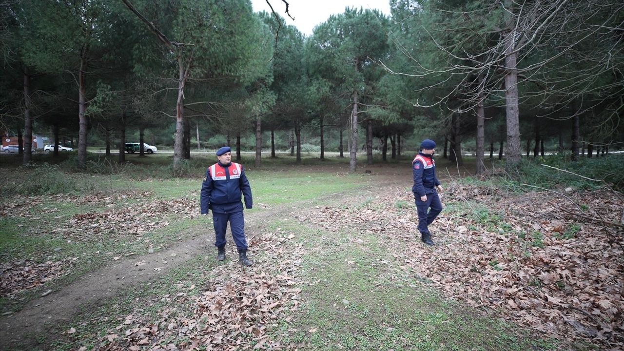 Bursa'da Kaçan Ayı için Arama Çalışmaları Devam Ediyor