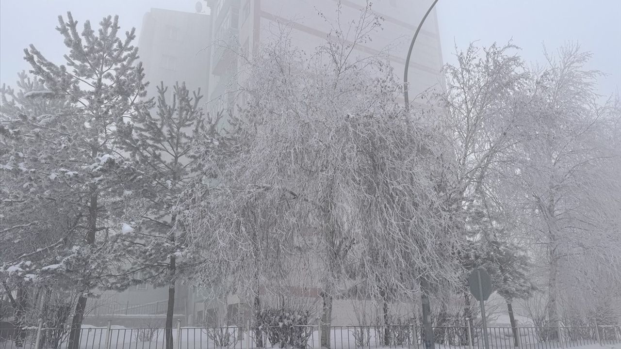 Doğu Anadolu'da Sis, Kırağı ve Buzlanma Etkili Oldu