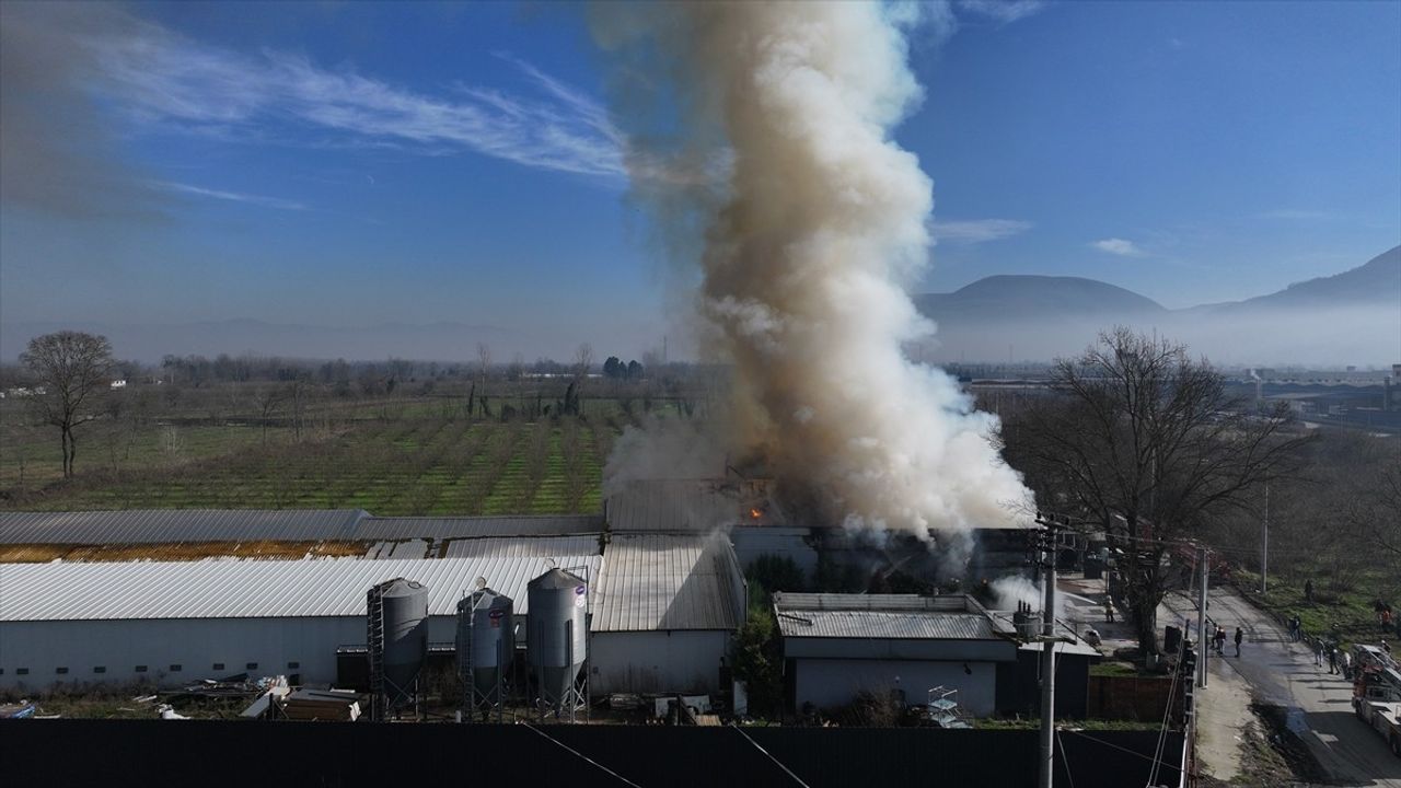 Düzce'deki Yumurta Üretim Tesisinde Yangın Kontrol Altına Alındı