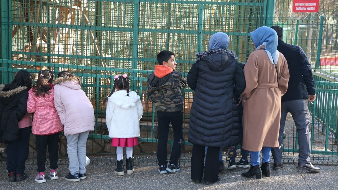 Gaziantep Doğal Yaşam Parkı Yılbaşı Ziyaretçilerini Ağırladı