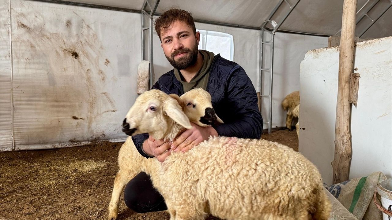 Genç Girişimciden Küçükbaş Hayvancılık Hamlesi