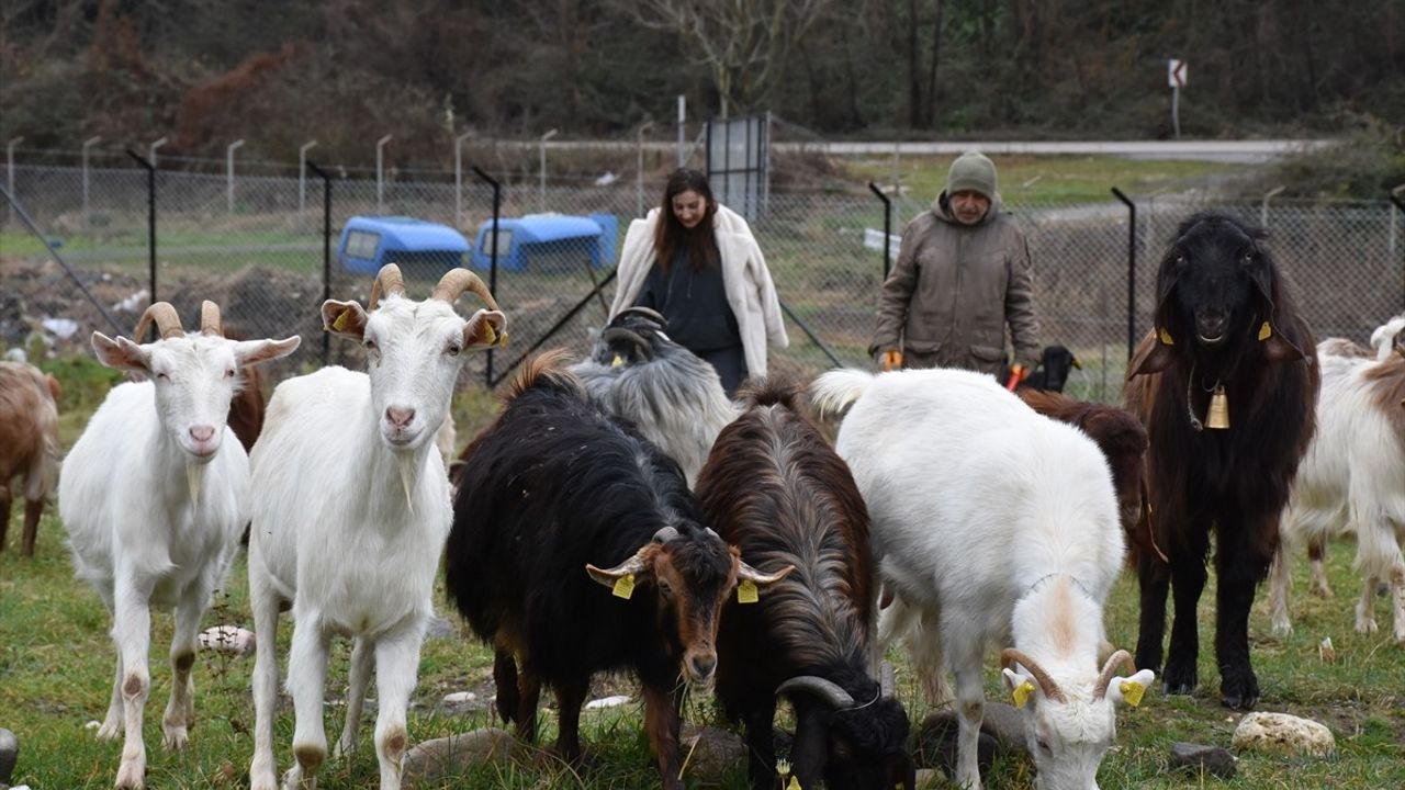 Gizem Çimen'in Girişimcilik Hikayesi: Aile Çiftliği Kurdu