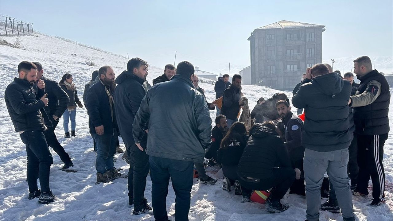 Hakkari'de Köpek Saldırısı: 12 Yaşındaki Çocuk Ağır Yaralandı