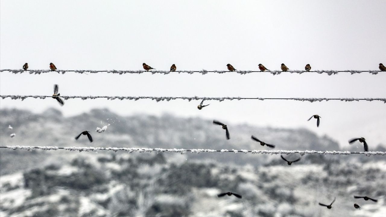 Iğdır ve Ağrı'da Dondurucu Soğuklar Etkili Olmaya Devam Ediyor