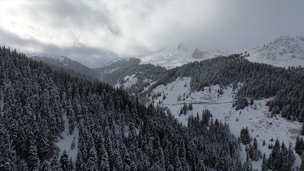 Ilgaz Dağı: Doğa Tutkunlarının Gözdesi