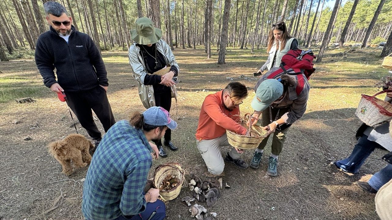 Mantar Tutkunları Antalya'da Bir Araya Geldi