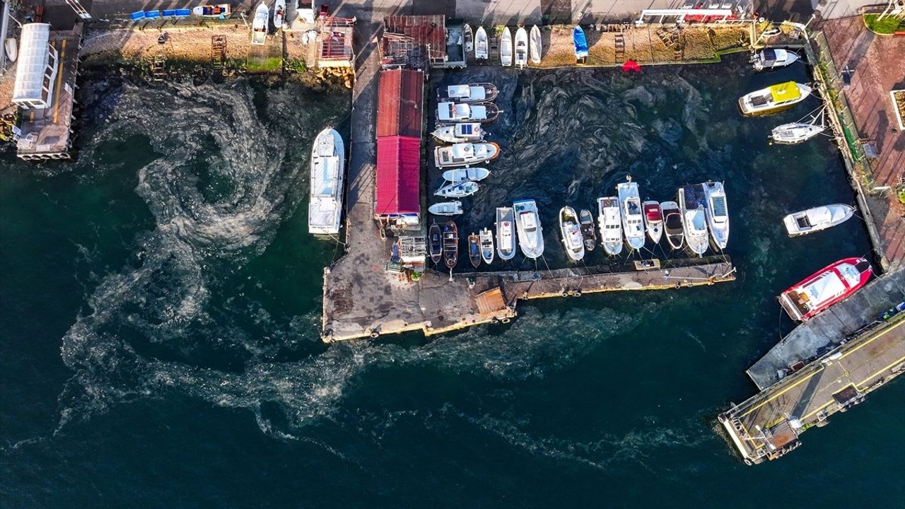 Marmara Denizi'nde Müsilaj Sorunu Yeniden Gündemde