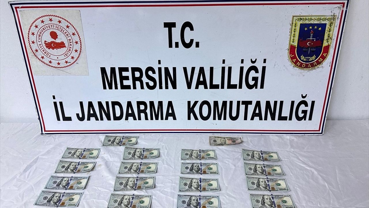 Mersin'de Sahte Dolar Operasyonu: 1 Gözaltı