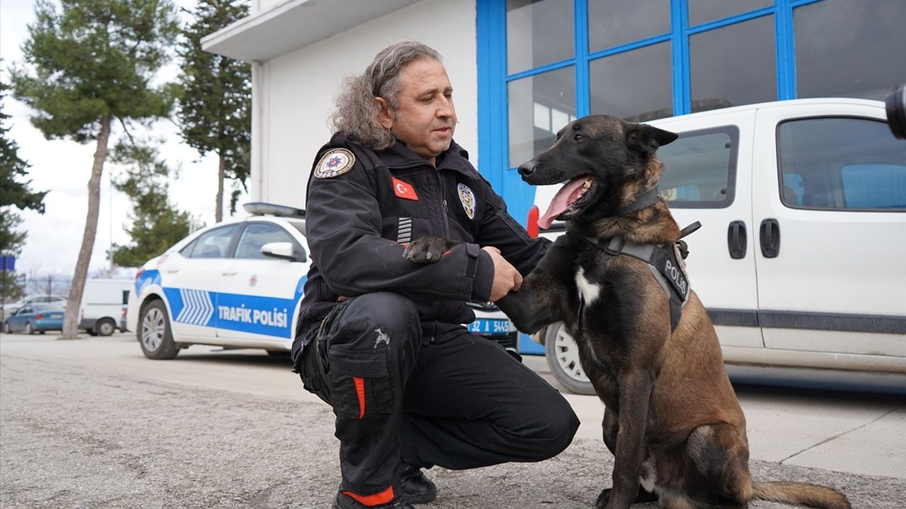 Milon, Isparta'nın Şampiyon Narkotik Köpeği