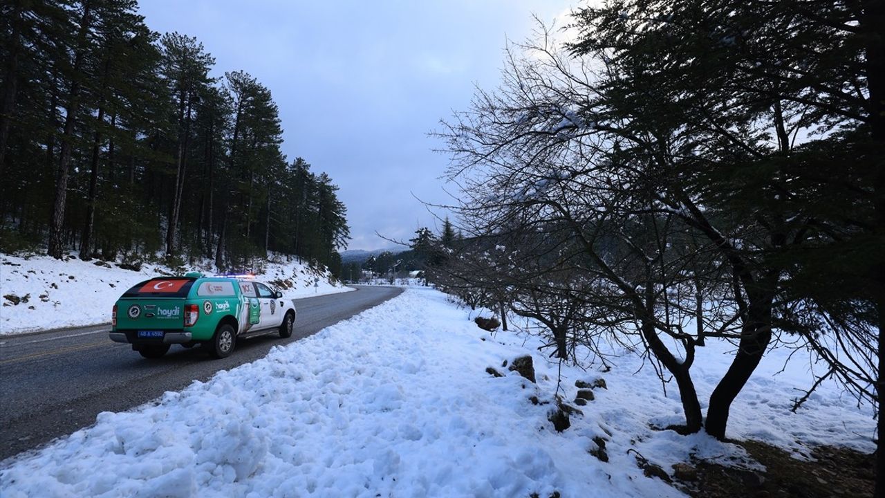 Muğla'da Yaban Hayvanlarına Yem Bırakıldı