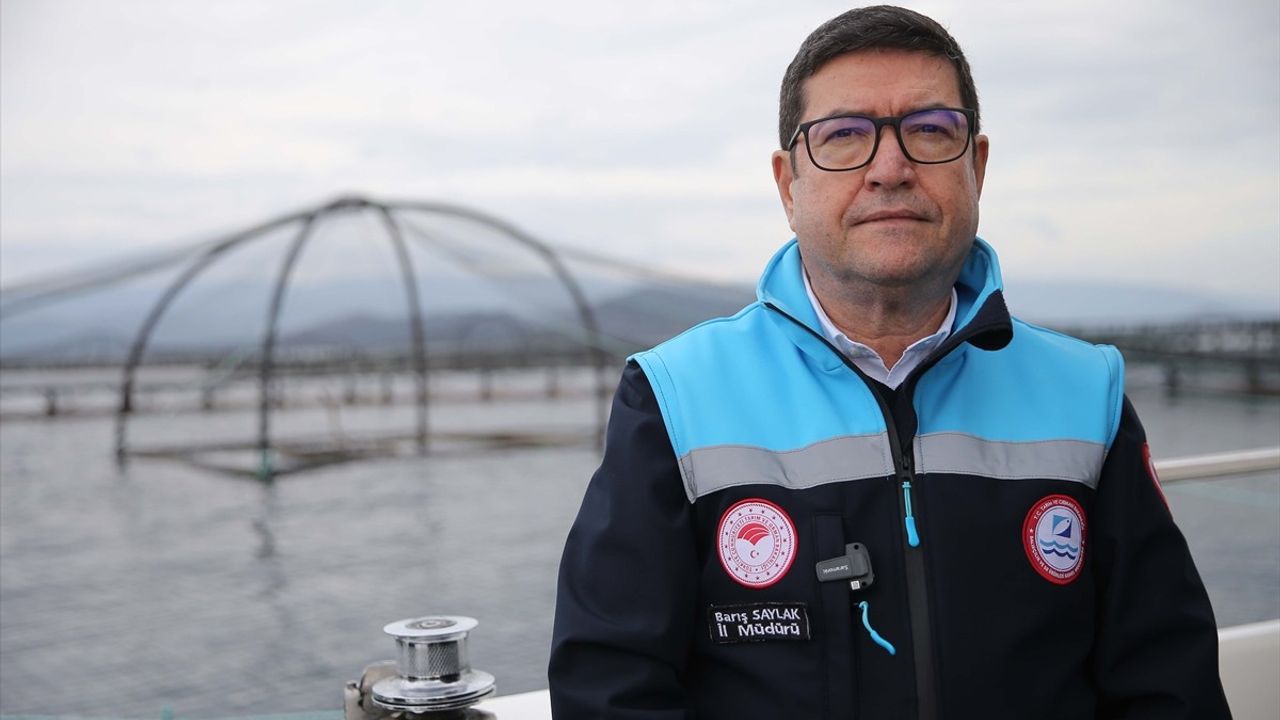 Muğla'nın Su Ürünleri İhracatı 2024'te Yükselişte