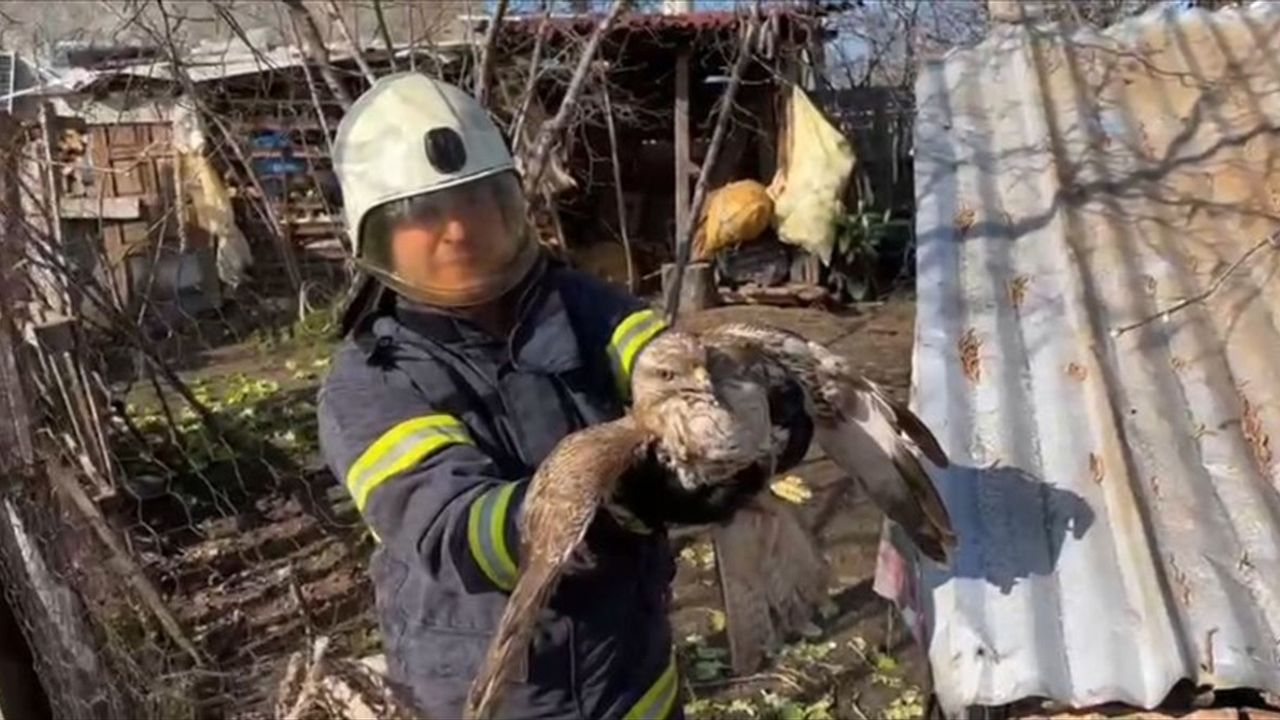 Ordu'da Mahsur Kalan Doğan İtfaiye Ekipleri Tarafından Kurtarıldı