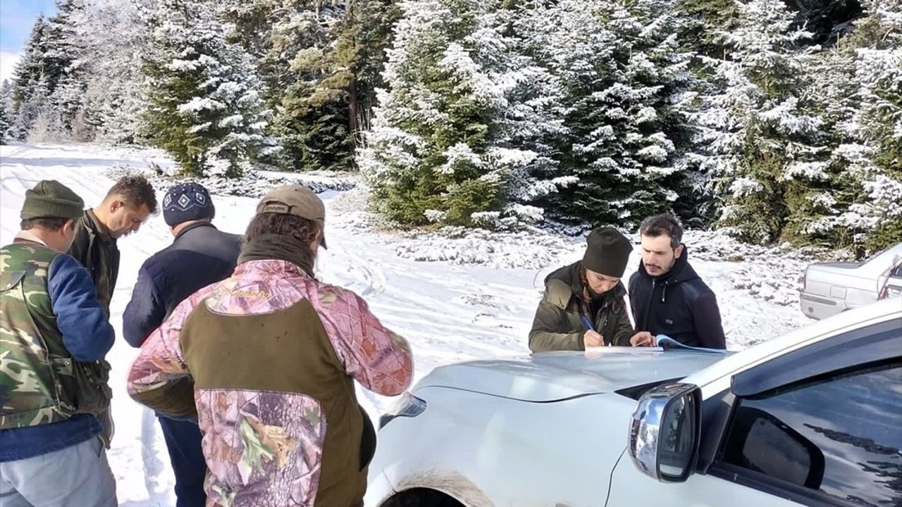 Sinop'ta Kaçak Avcılara Büyük Ceza