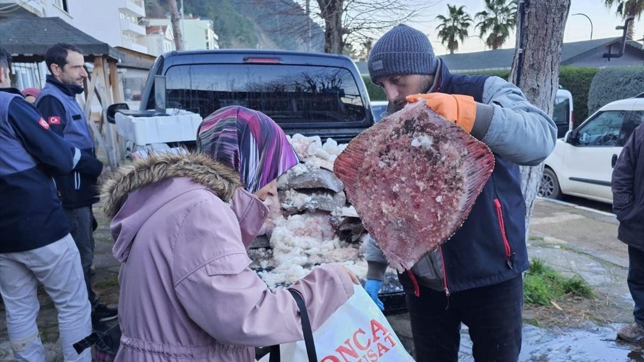 Sinop'ta Kaçak Avlanmış 380 Kalkan Balığı Ele Geçirildi