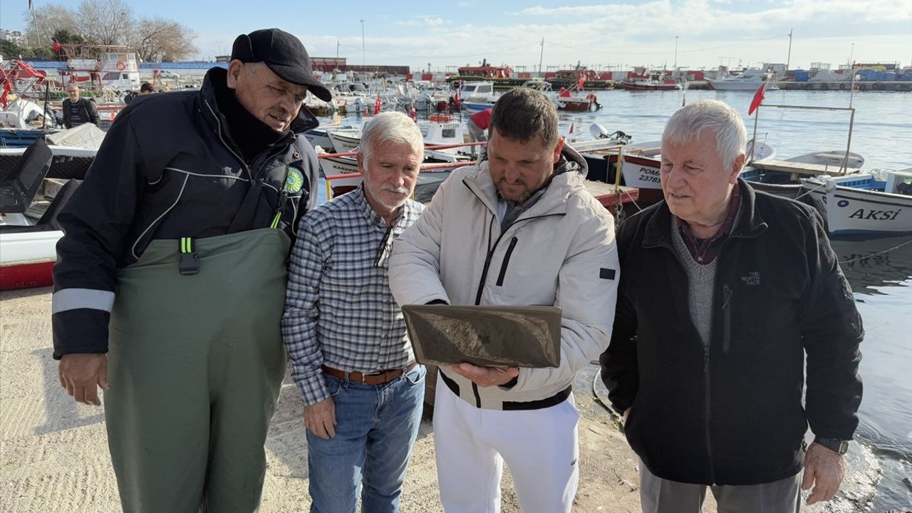 Tekirdağ Balıkçıları AA'nın Fotoğraf Yarışmasında Oy Verdi