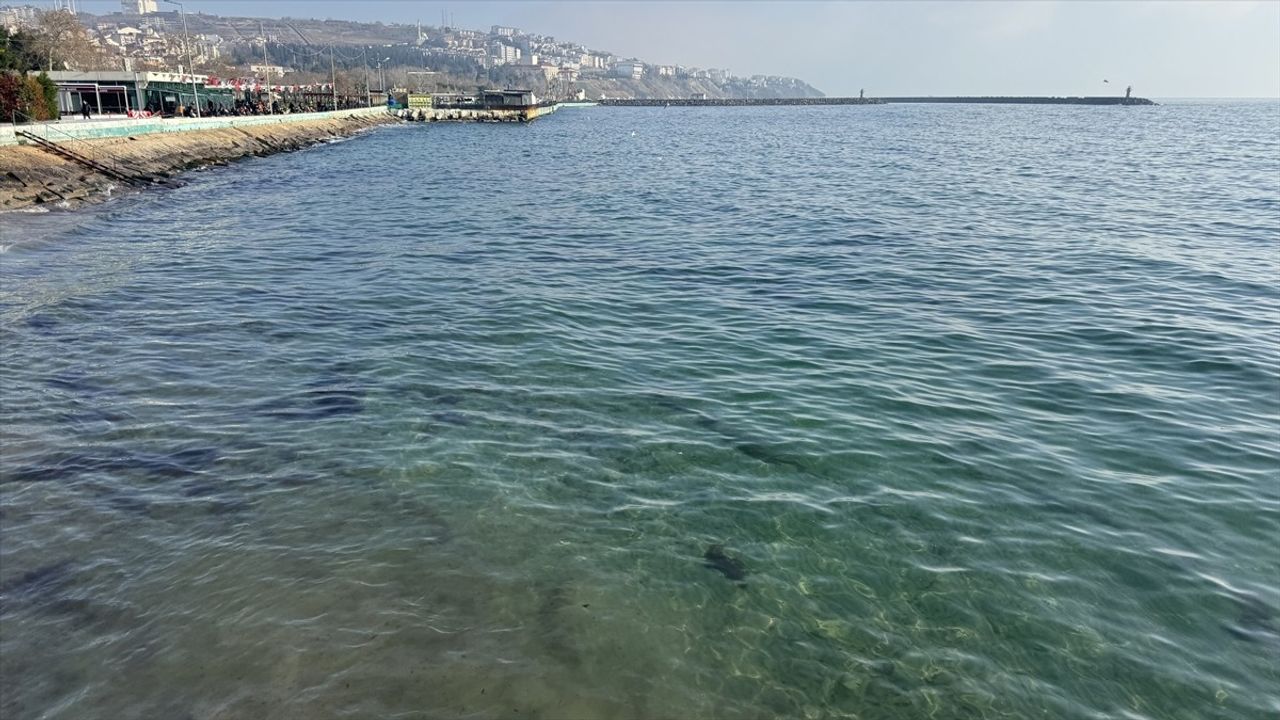 Tekirdağ'da Deniz Ulaşımı Yeniden Başladı