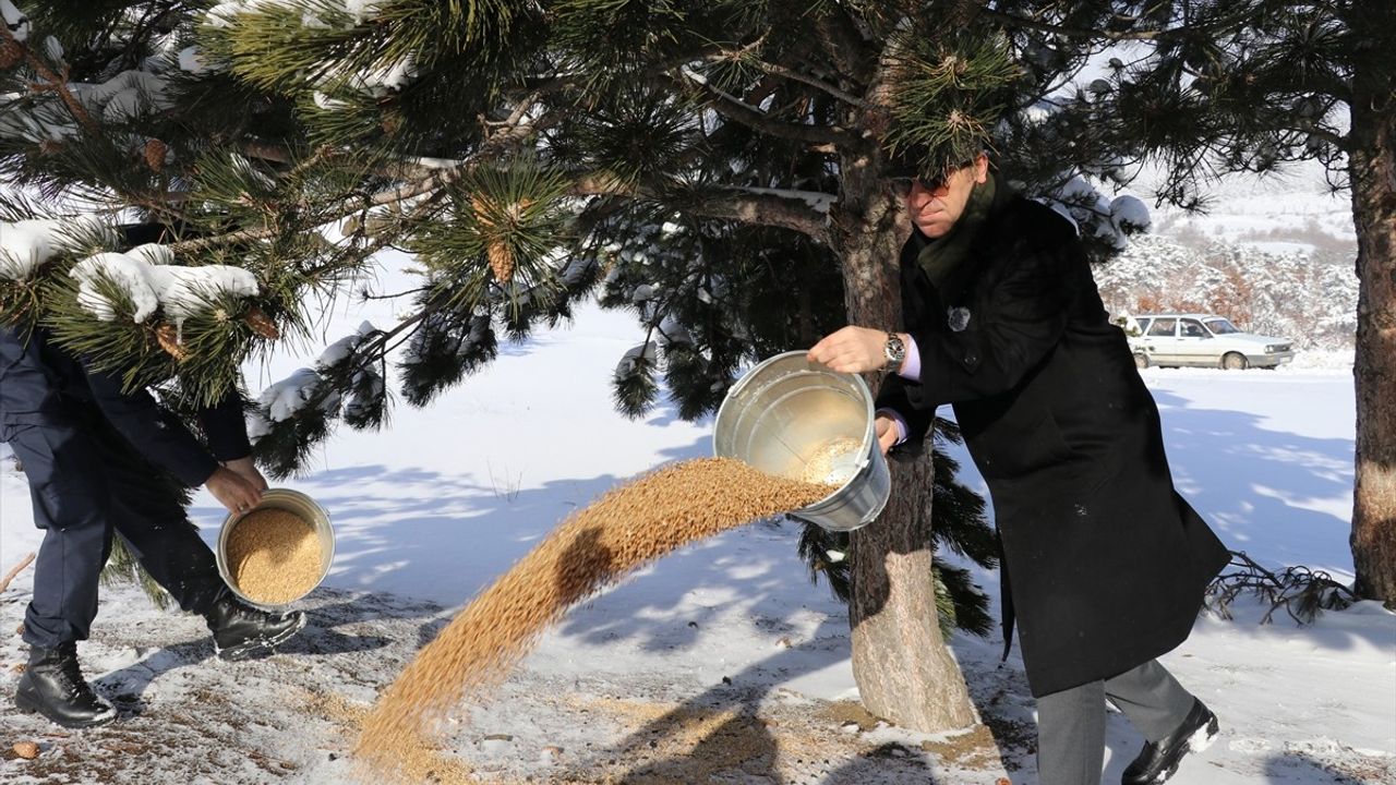 Amasya'da Yaban Hayvanları İçin Doğaya Yem Bırakıldı