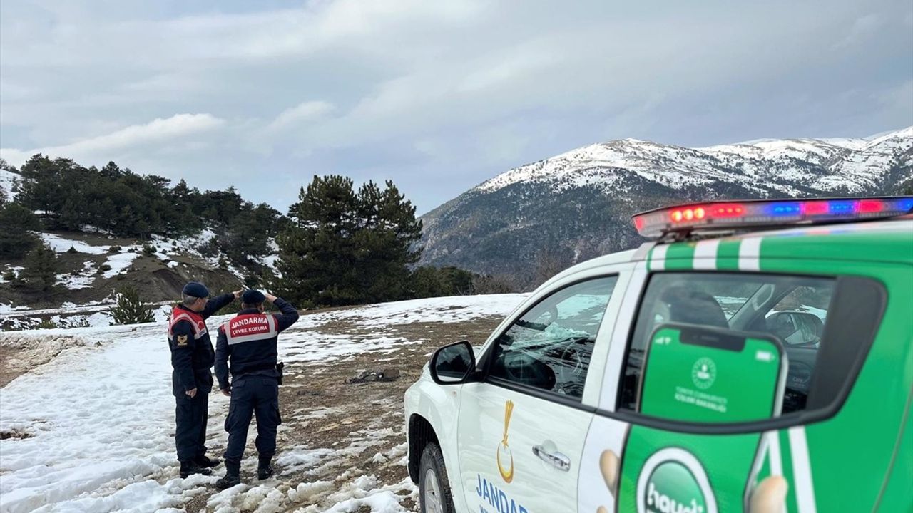 Amasya'da Yaban Hayvanlarına Destek
