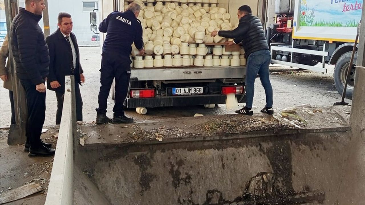 Ankara'da 9 Ton Bozuk Peynir İmha Edildi