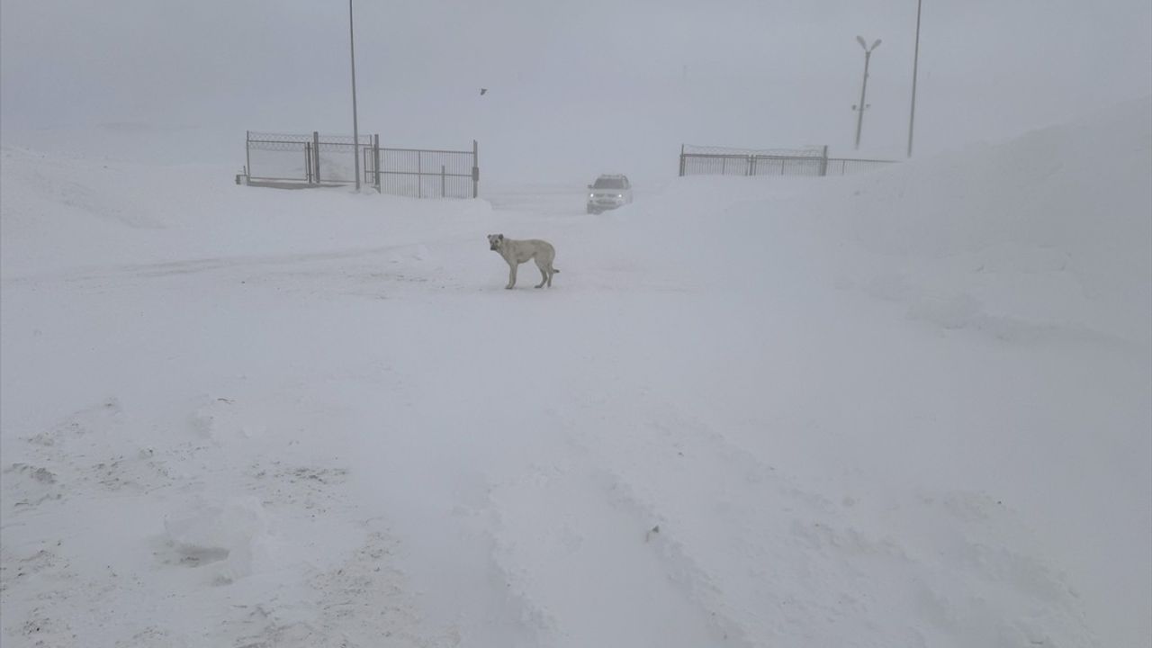 Ardahan'da Kar ve Tipi Ulaşımı Zorluyor