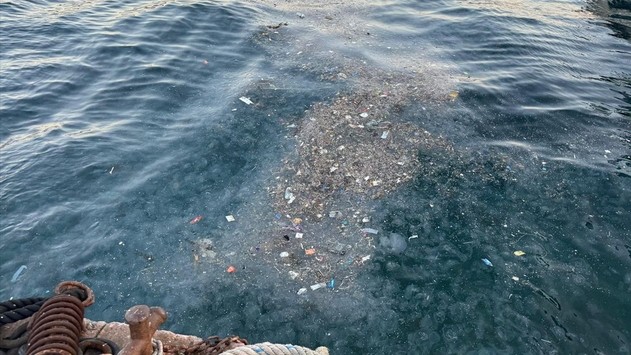 Beşiktaş'ta Deniz Kirliliği Tepkilere Neden Oldu