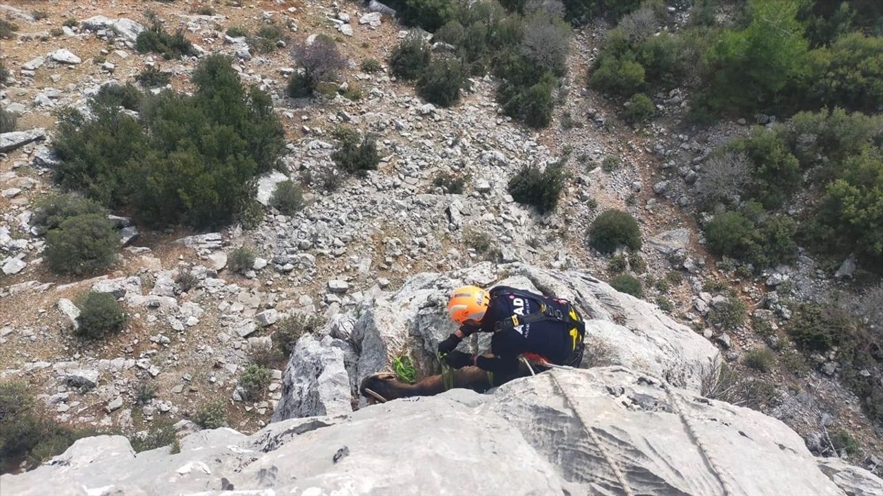 Burdur'da Keçileri AFAD Ekipleri Kurtardı