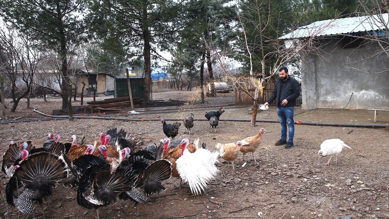 Diyarbakırlı İş Adamı Kaçan Deve Kuşunu Arıyor