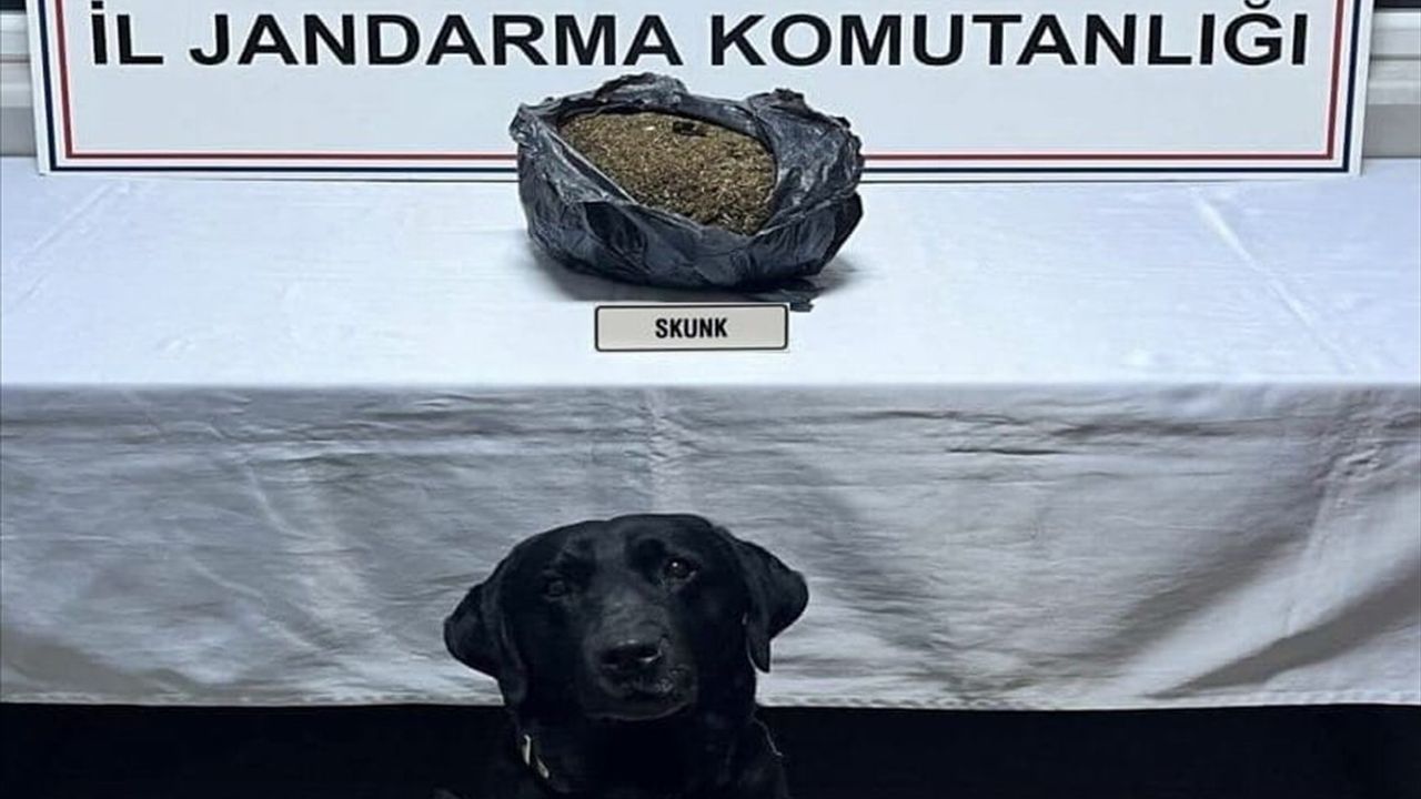 Düzce'de Uyuşturucu ile Yakalanan Şüpheli Tutuklandı