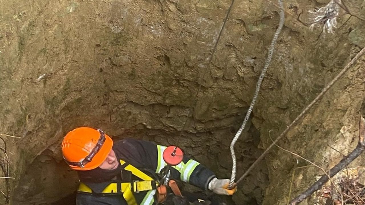 Edirne'de Çukura Düşen Keçiler Kurtarıldı