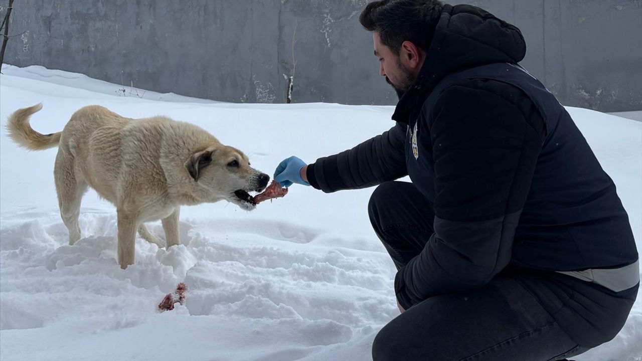 Erzincan'da Polislerden Sahipsiz Hayvanlara Destek