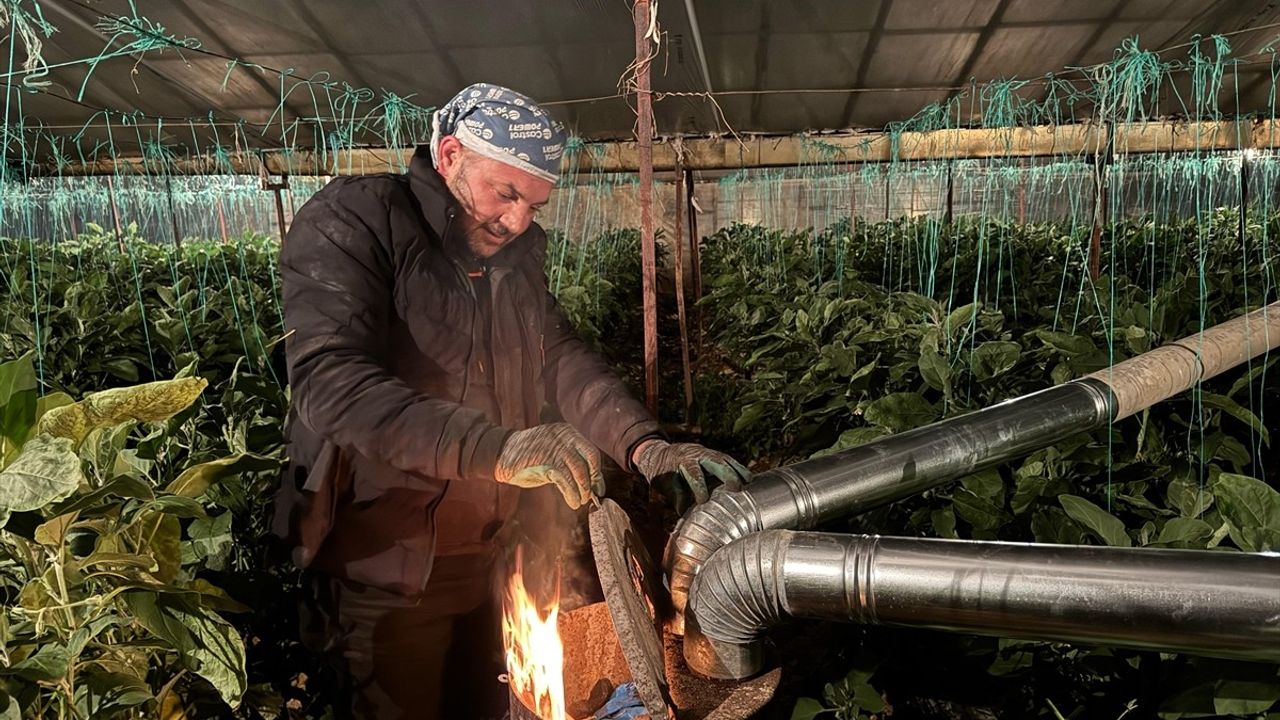 Gazipaşa'da Üreticiler Zirai Don Nöbeti Tutuyor