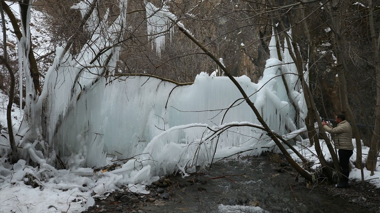 Hakkari'de Donan Ağaç Dalları Buz Sarkıtları Oluşturdu