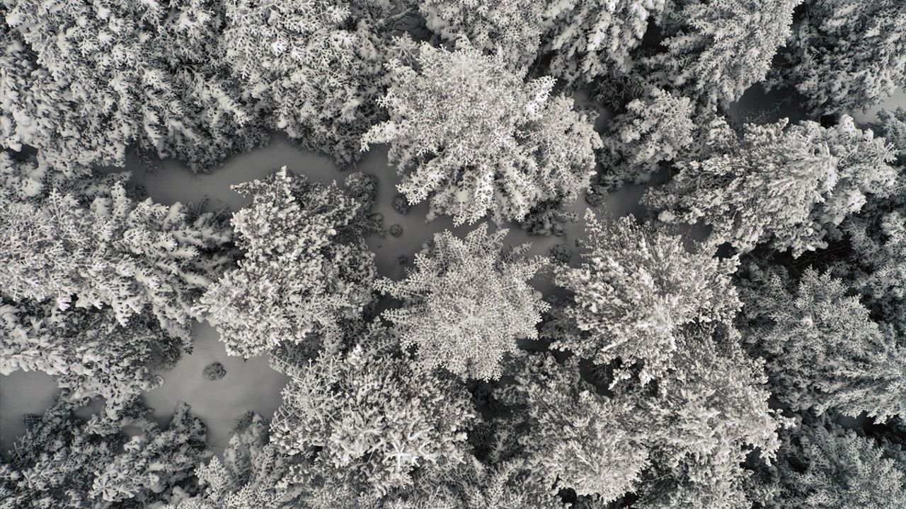 Ilgaz Dağı'ndaki Kar Manzarası Havadan Görüntülendi