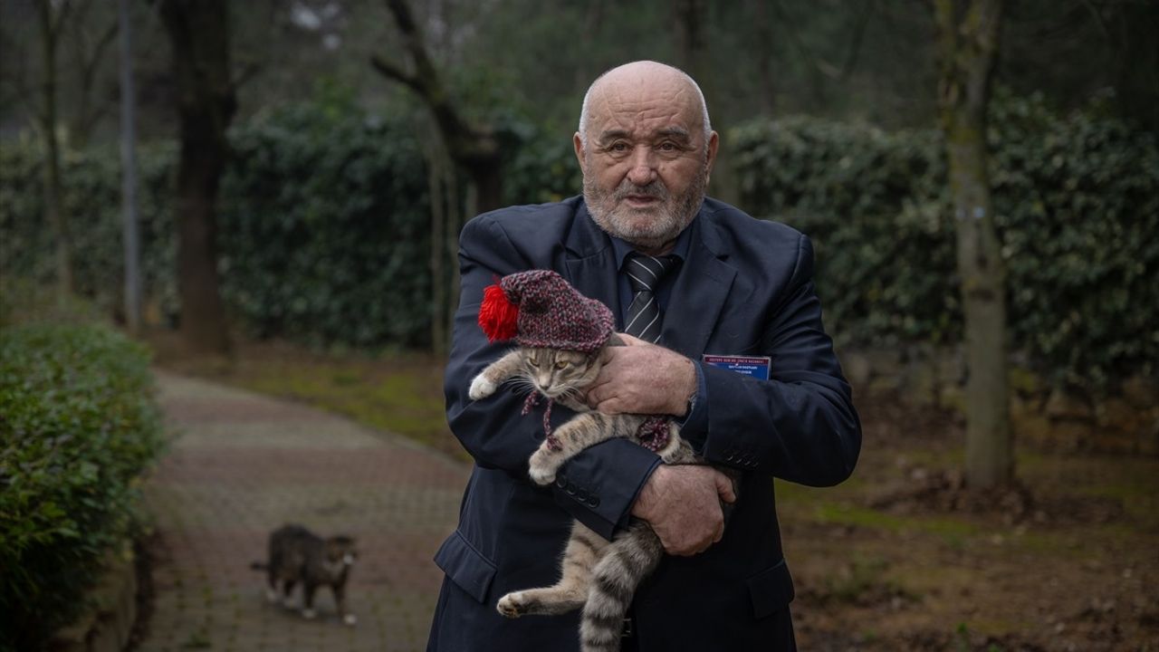 Kedi Huzurevi Projesi: Huzurevi Sakinleri Patili Dostlarına Yuva Oluyor