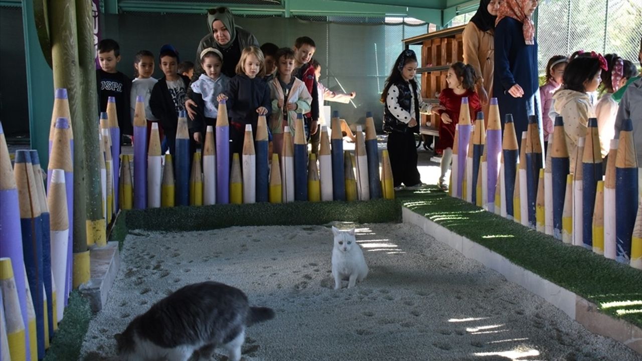 Küçük Dostlar Kedi Kasabası 9 Yılda 42 Bin Ziyaretçi Ağırladı