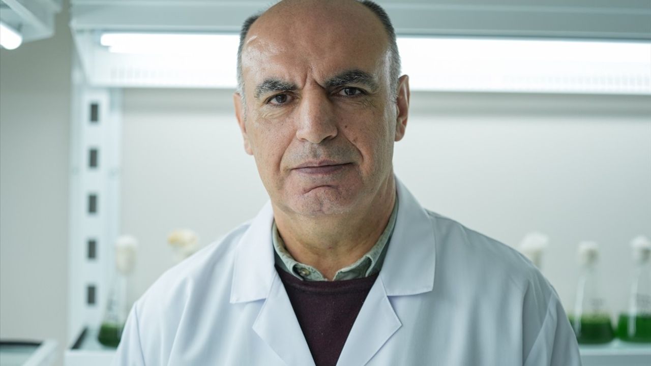 Küçükçekmece Gölü'nde Oksijensizlik Krizi