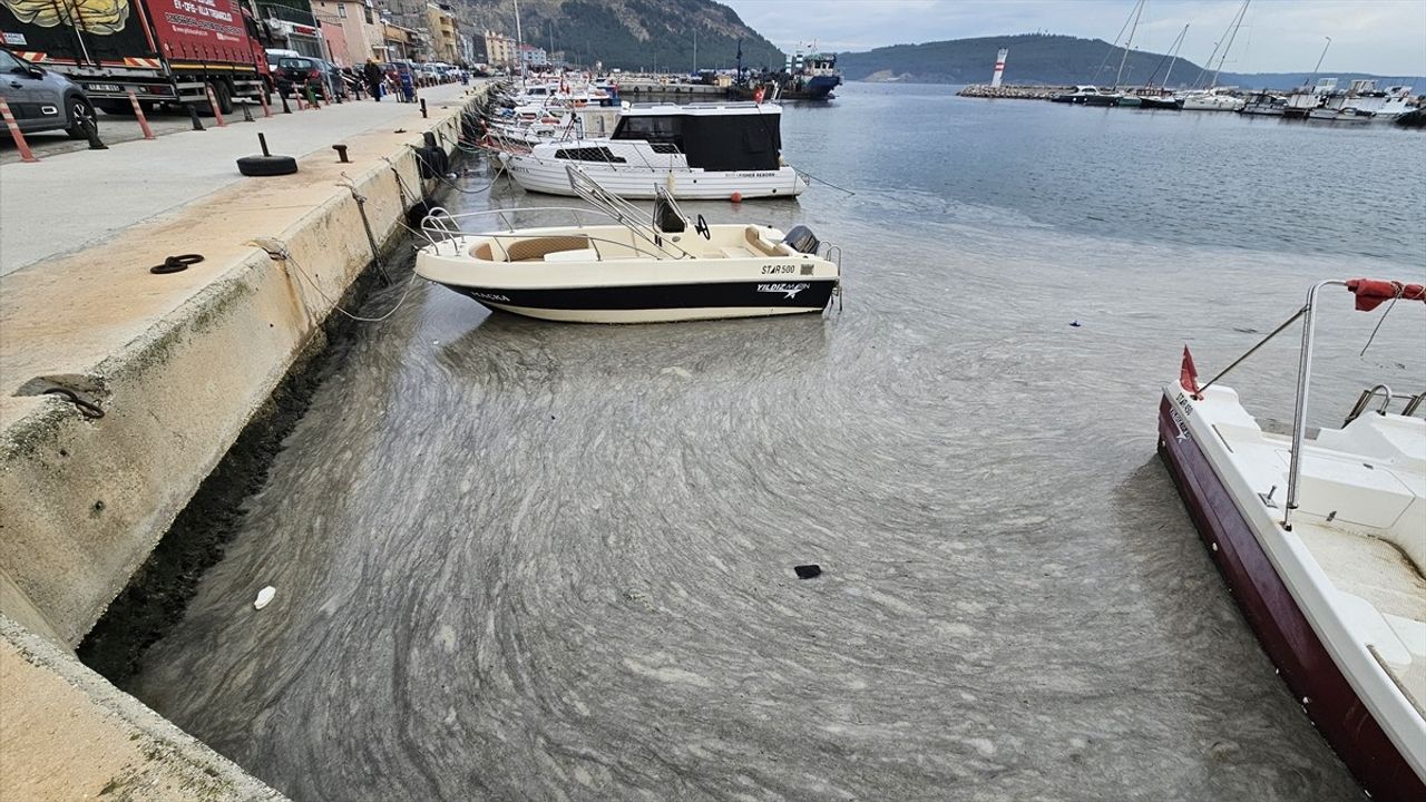 Marmara Denizi'nde Müsilaj Sorunu ve Çözüm Önerileri