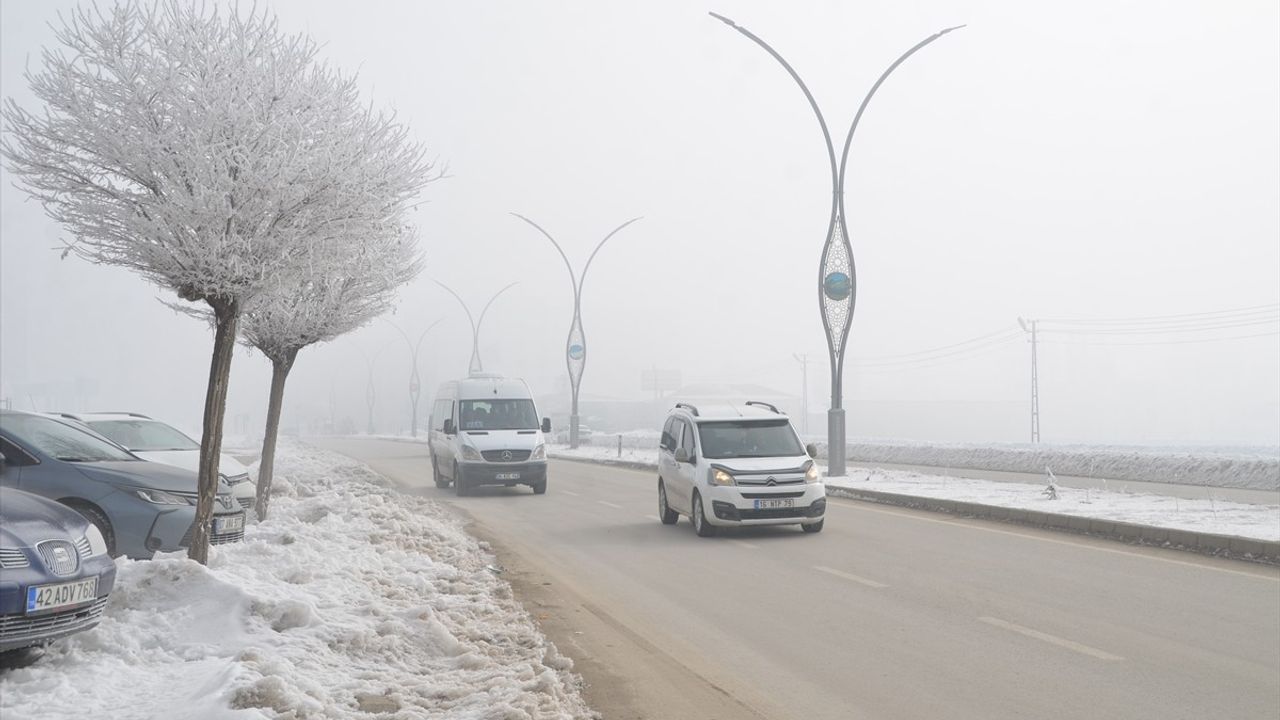 Muş ve Hakkari'de Ulaşım Sorunları Devam Ediyor