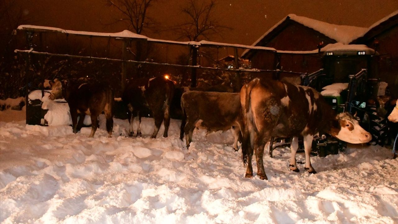 Samsun'da Kar Yağışı Nedeniyle Çöken Ahırda Hayvanlar Kurtarıldı