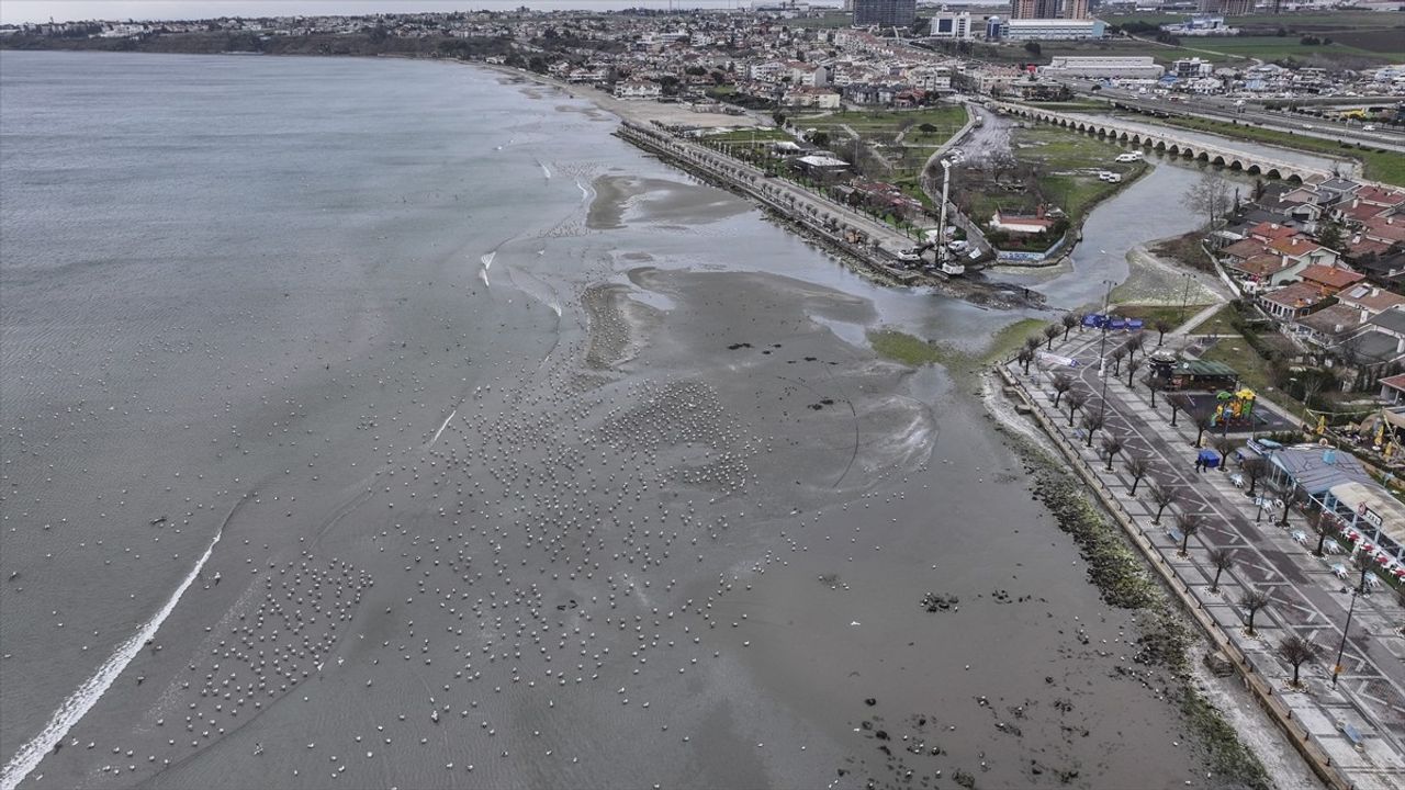 Silivri'de Deniz Suyu Çekildi: Rüzgarın Etkisi