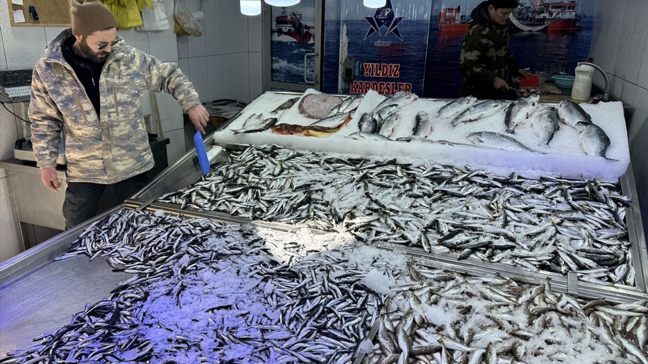 Sinop'ta Hava Koşulları Balık Fiyatlarını Etkiliyor