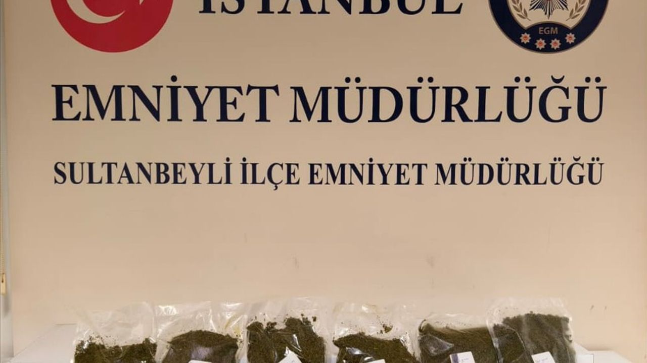 Sultanbeyli'de Uyuşturucu Operasyonu: Bir Tutuklama