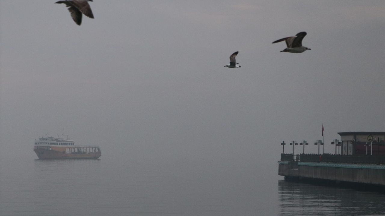 Tekirdağ'da Yoğun Sis Deniz ve Kara Ulaşımını Zora Soktu